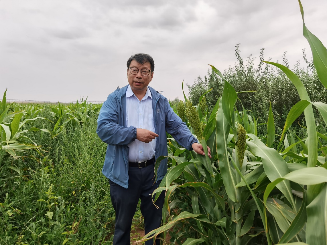 https://image.cqrb.cn/d/file/news/image/uploadImage/2021-10-20/74630616fb44dd809f.jpg https://image.cqrb.cn/d/file/news/image/uploadImage/2021-10-20/74630616fb44dd809f.jpg